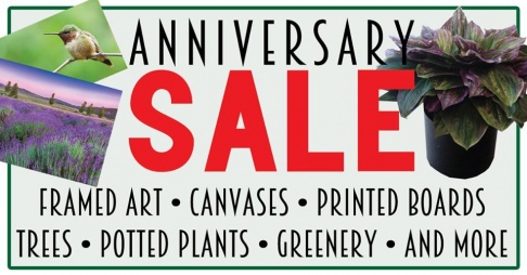 Evergreen Silk Inc Anniversary Clearance Sale